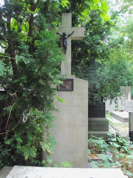Zdjęcie grobu Aleksander Michałowski (2)