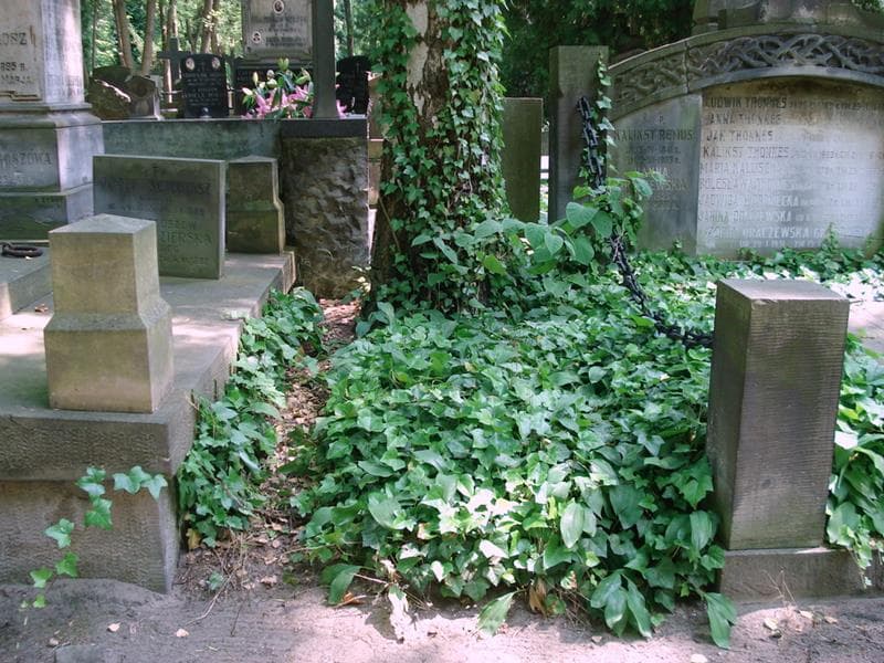 Zdjęcie grobu: Pole Grobowe