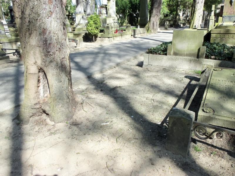 Zdjęcie grobu Pole Grobowe (1)