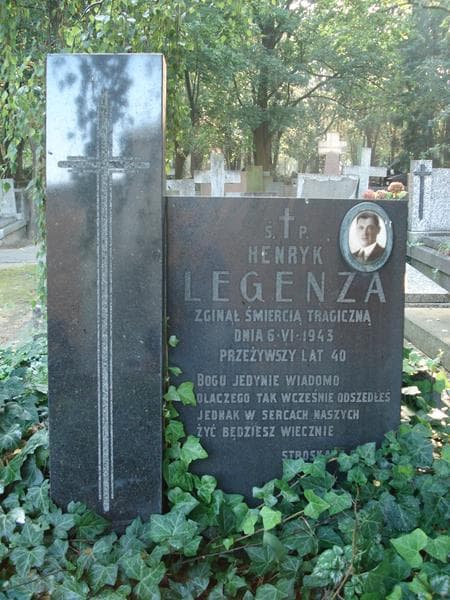 Zdjęcie grobu Henryk Legenza (2)