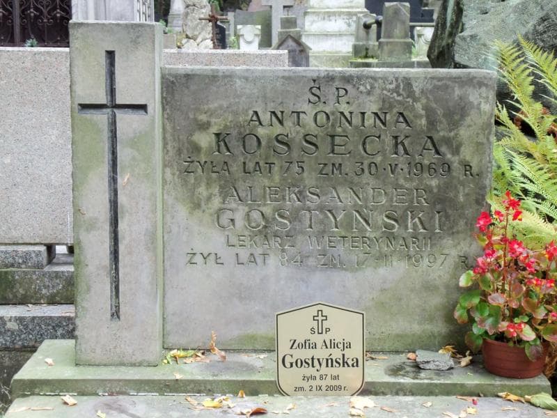 Zdjęcie grobu Zofia Alicja Gostyńska (2)