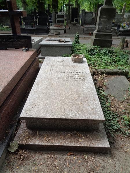 Zdjęcie grobu Maria Kośmińska (1)