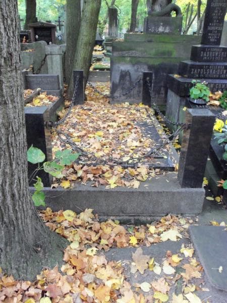 Zdjęcie grobu: Krajewscy