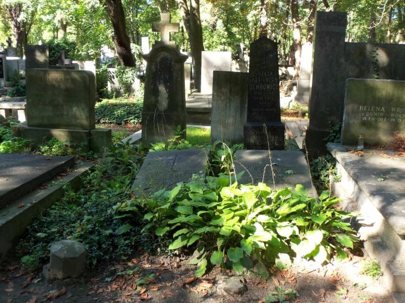 Zdjęcie grobu: Józefa Dembowicz