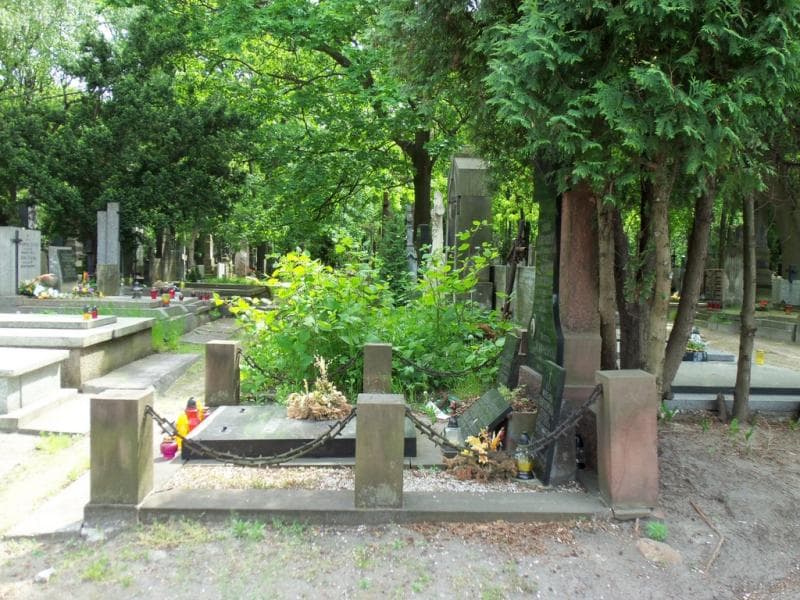Zdjęcie grobu Józef Henrykowski (1)