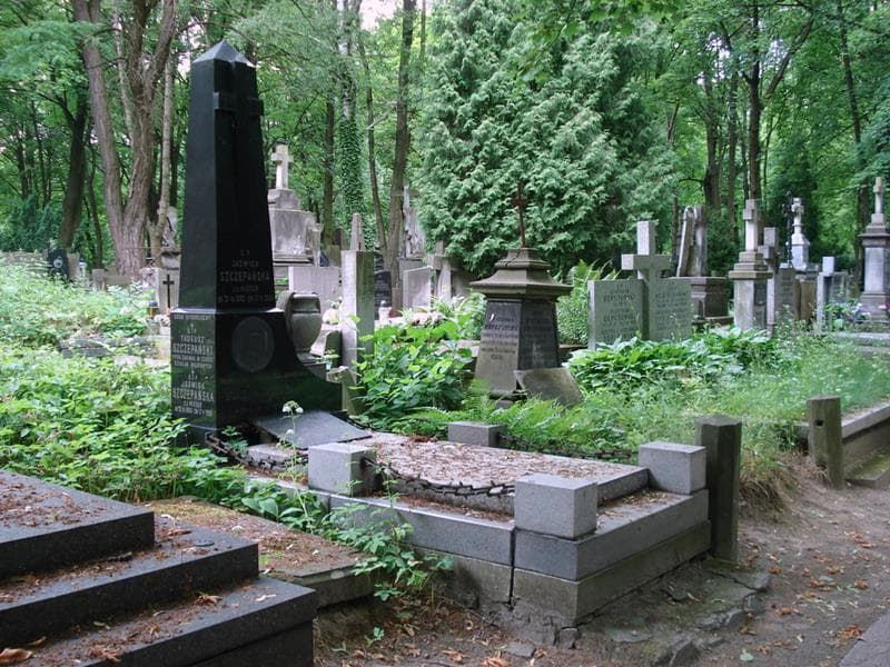 Zdjęcie grobu: Jadwiga Szczepańska