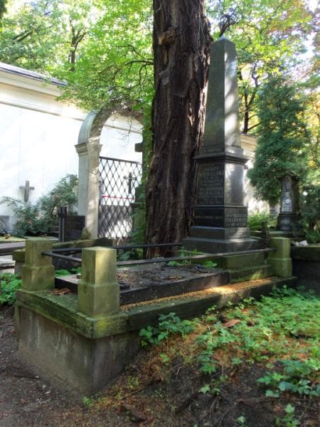 Zdjęcie grobu Róża Michalska (1)