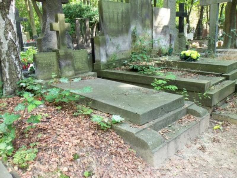 Zdjęcie grobu Ignacy Dmowski (1)