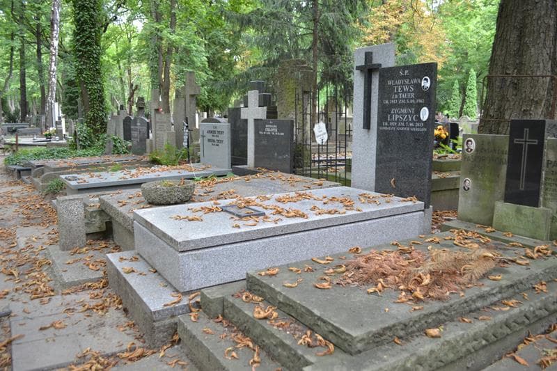 Zdjęcie grobu: Władysława Tews
