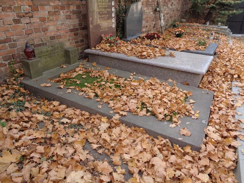 Zdjęcie grobu: Ładysław Napieralski