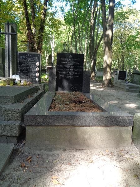 Zdjęcie grobu Teodor Olszewski (1)