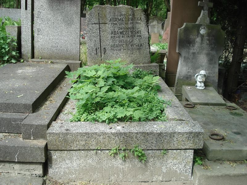 Zdjęcie grobu: Zbigniew Adamczewski