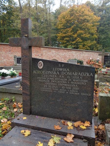 Zdjęcie grobu Ludwika Kołodzińska-Domaradzka (2)
