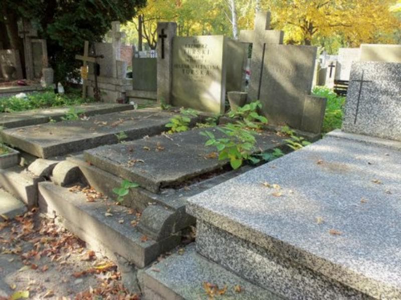 Zdjęcie grobu Zygmunt Antoni Jankielewicz (1)