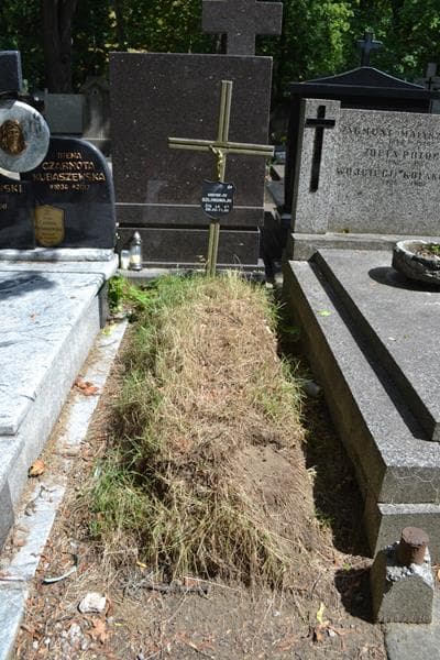 Zdjęcie grobu Krzysztof Szlingwajn (1)