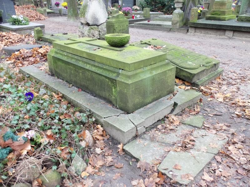 Zdjęcie grobu Eugenia Kuźnik (1)