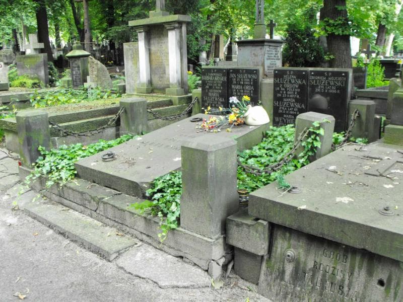 Zdjęcie grobu Teodor Służewski (1)