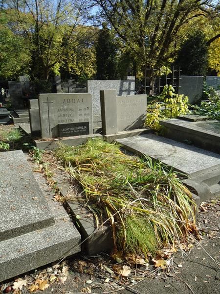 Zdjęcie grobu Leontyna Pawlik (1)