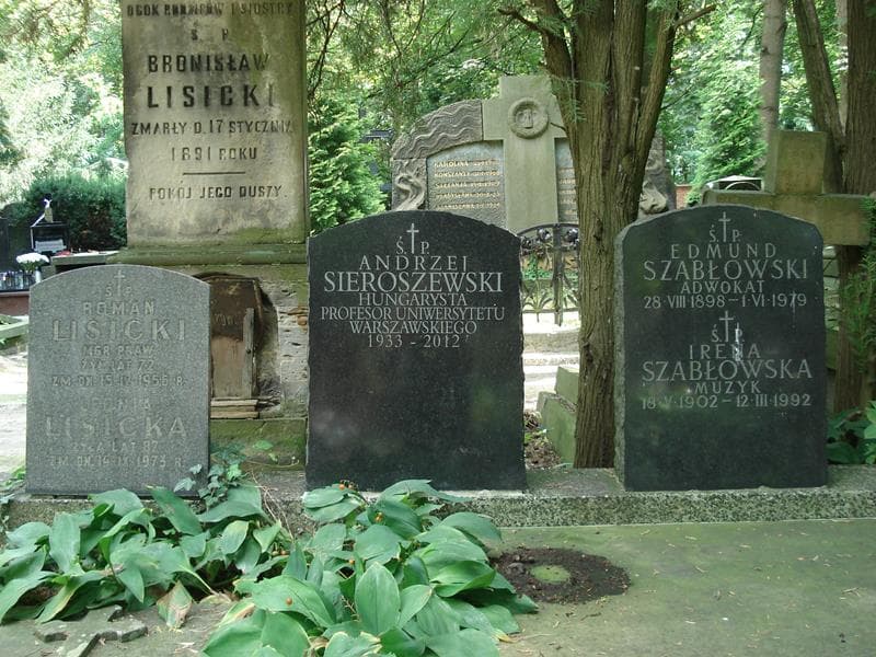 Zdjęcie grobu Leonia Lisicka (2)