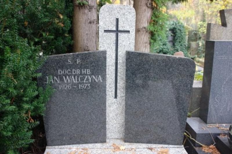 Zdjęcie grobu Jan Walczyna (2)