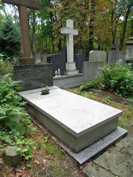 Zdjęcie grobu: Janusz Odrobiński
