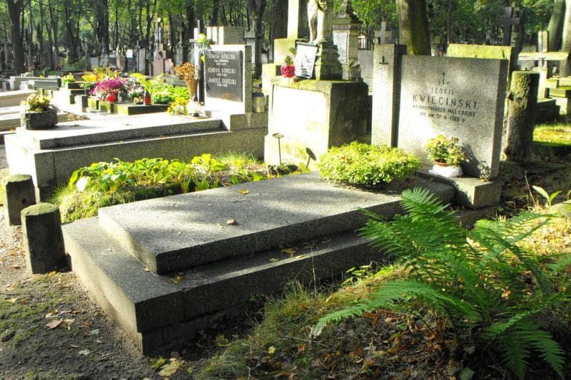 Zdjęcie grobu Teofil Kwieciński (1)