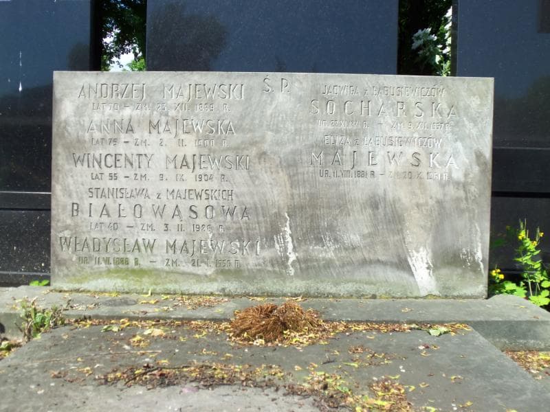 Zdjęcie grobu Wincenty Majewski (2)
