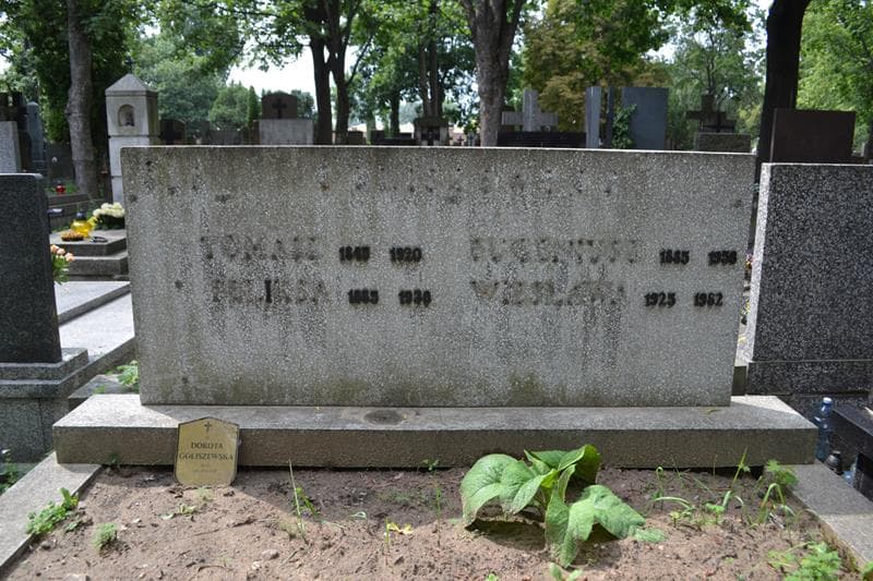 Zdjęcie grobu Wiesława Goliszewska (2)