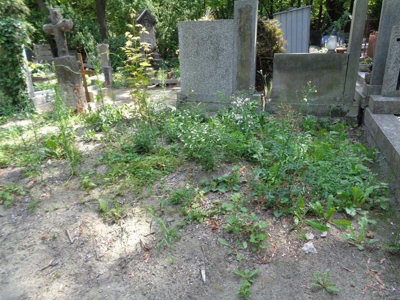 Zdjęcie grobu: Pole Grobowe