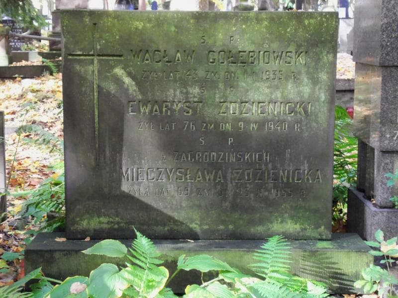 Zdjęcie grobu Wacław Gołębiowski (2)