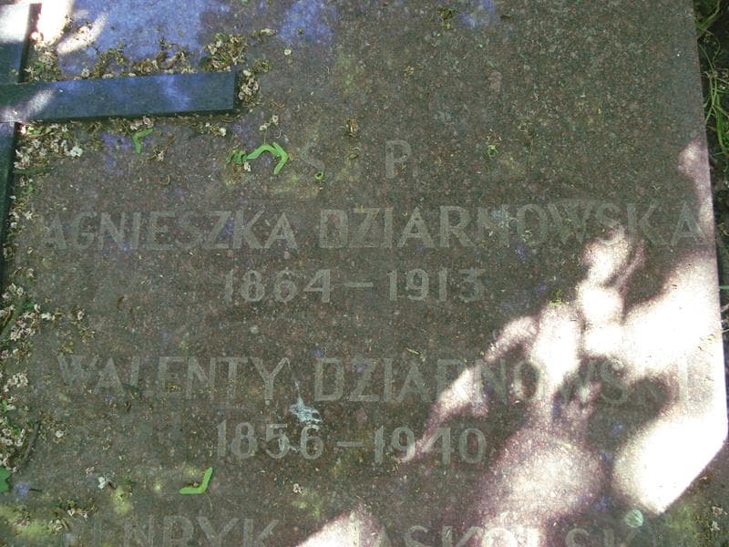 Zdjęcie grobu Henryk Jaskólski (1)