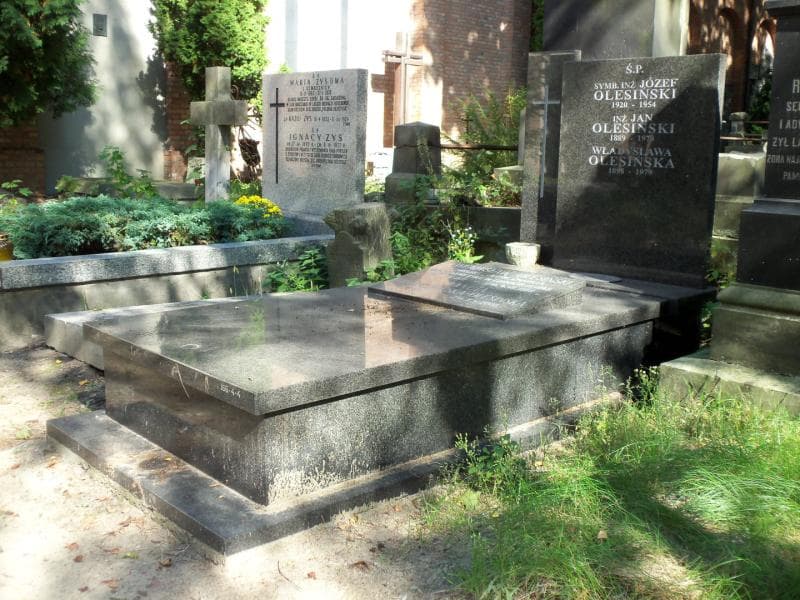 Zdjęcie grobu Jan Olesiński (1)