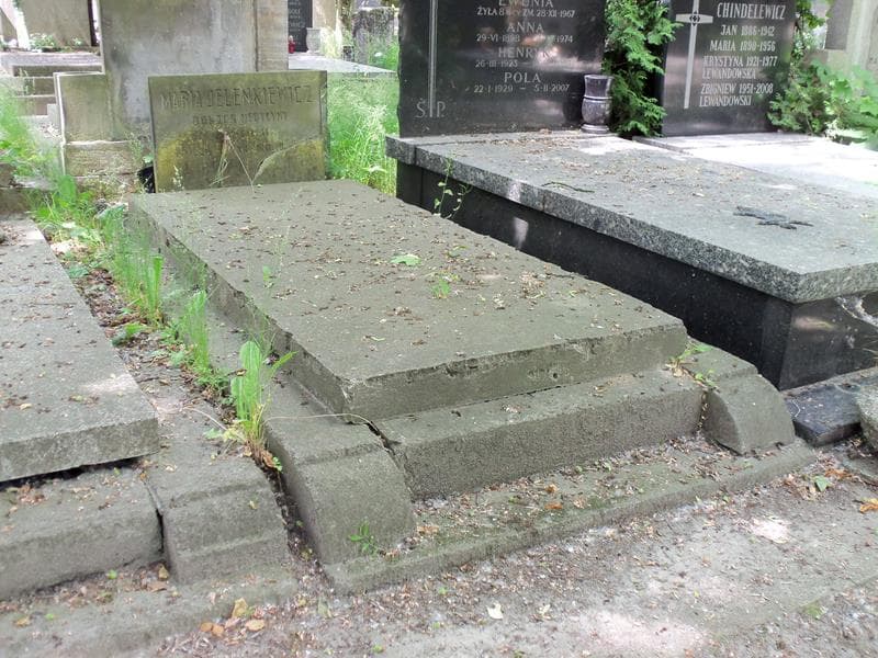 Zdjęcie grobu Maria Jelenkiewicz (1)