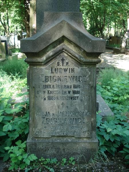 Zdjęcie grobu Ludwik Zbigniewicz (1)