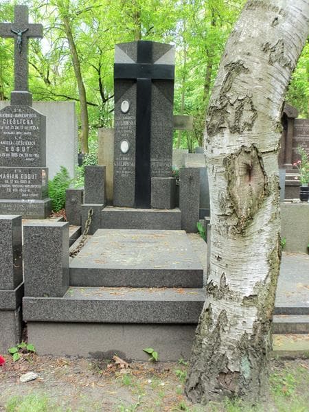 Zdjęcie grobu: Henryk Choiński