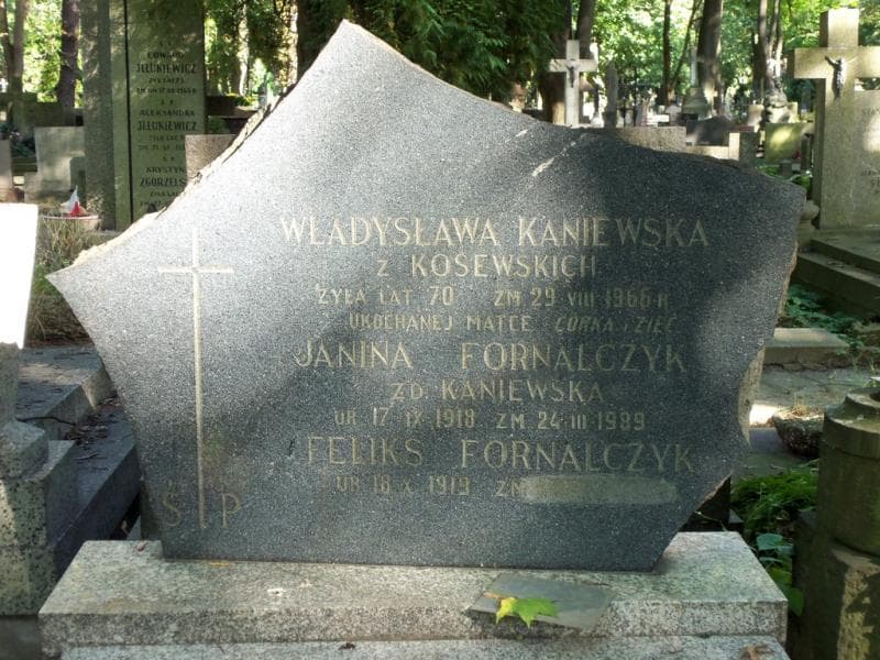 Zdjęcie grobu Janina Fornalczyk (2)