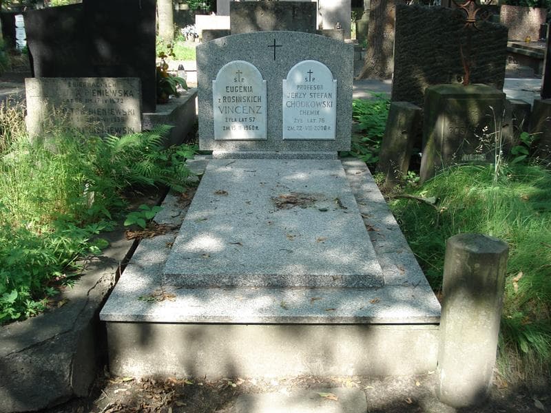 Zdjęcie grobu Jerzy Stefan Chodkowski (1)