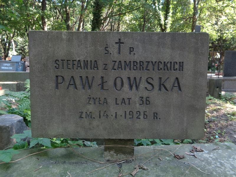 Zdjęcie grobu Stefania Pawłowska (2)