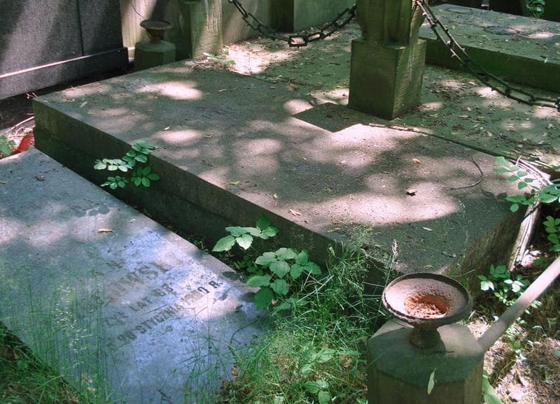 Zdjęcie grobu Róża Drogowska (2)