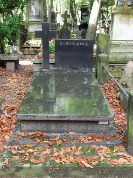 Zdjęcie grobu: Symforian Kozłowski