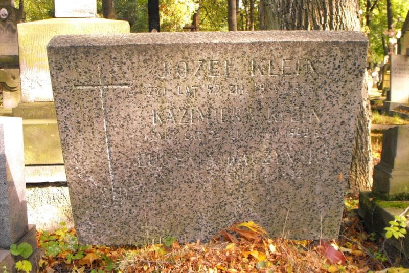 Zdjęcie grobu Józef Klejn (2)