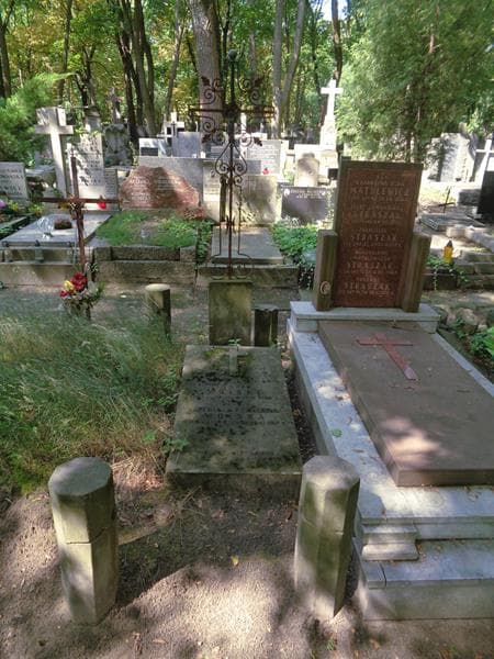 Zdjęcie grobu Ludwik Wolski (1)