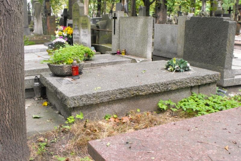 Zdjęcie grobu: Wiktor Biegański