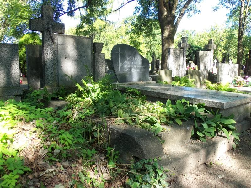Zdjęcie grobu Warzyniec Zawiślak (1)