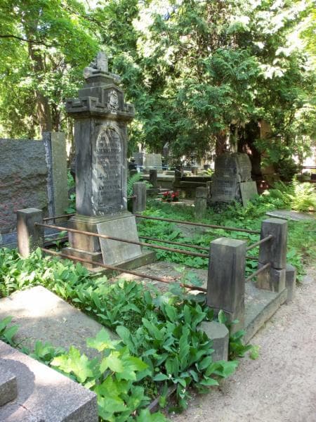 Zdjęcie grobu Maciej Sienkiewicz (1)