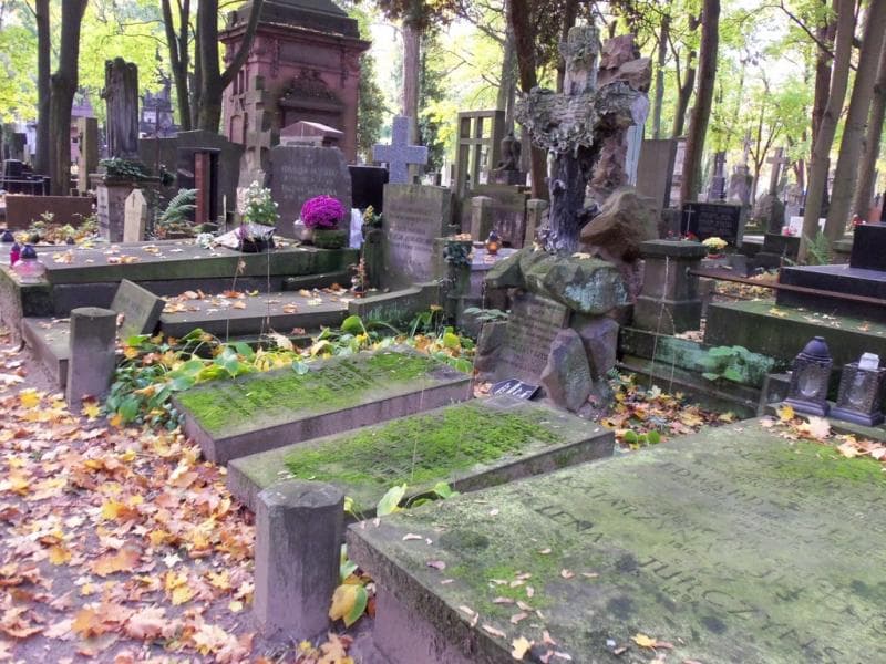 Zdjęcie grobu Józef Laszczkowski (1)