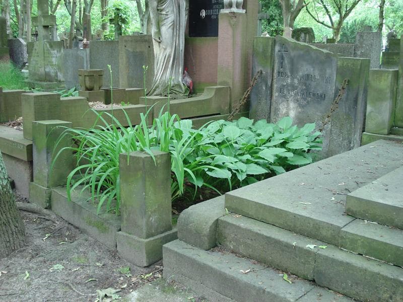 Zdjęcie grobu Leon Niklewski (1)