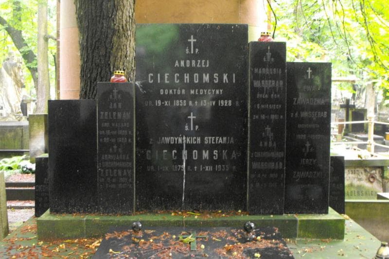 Zdjęcie grobu Zygmunt Wasserab (2)