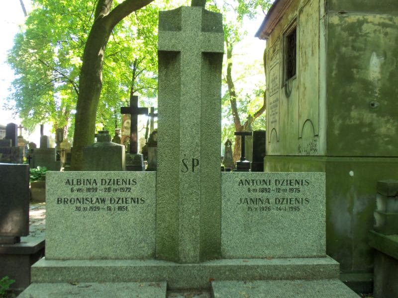 Zdjęcie grobu Antoni Dzienis (2)