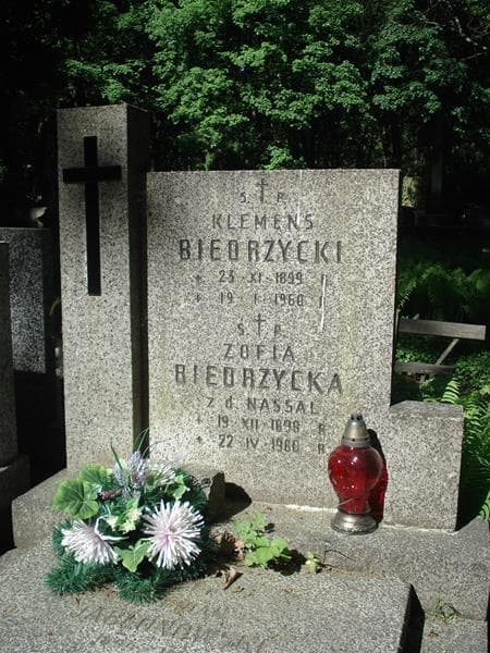 Zdjęcie grobu Zofia Biedrzycka (1)